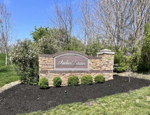 3299 BALLANTREE WAY LOT 49, VERONA, KY 41092 - Image 1