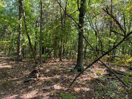 1000 HIDDEN ACRES, MT. OLIVET, KY 41064, photo 4 of 8