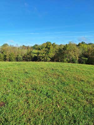 0 CASEY MILL ROAD, BERRY, KY 41003 - Image 1