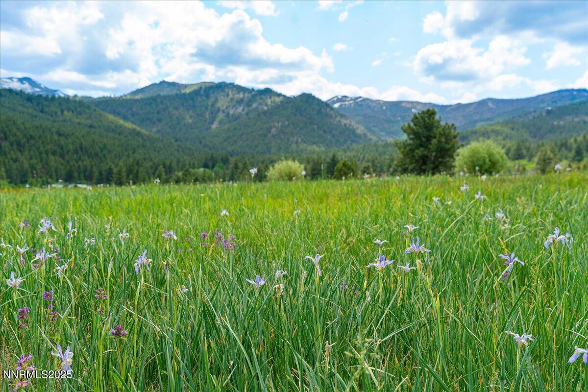 Reno, Nevada, 89511, United States, 3 Bedrooms Bedrooms, ,3 BathroomsBathrooms,Residential,Active,1919399