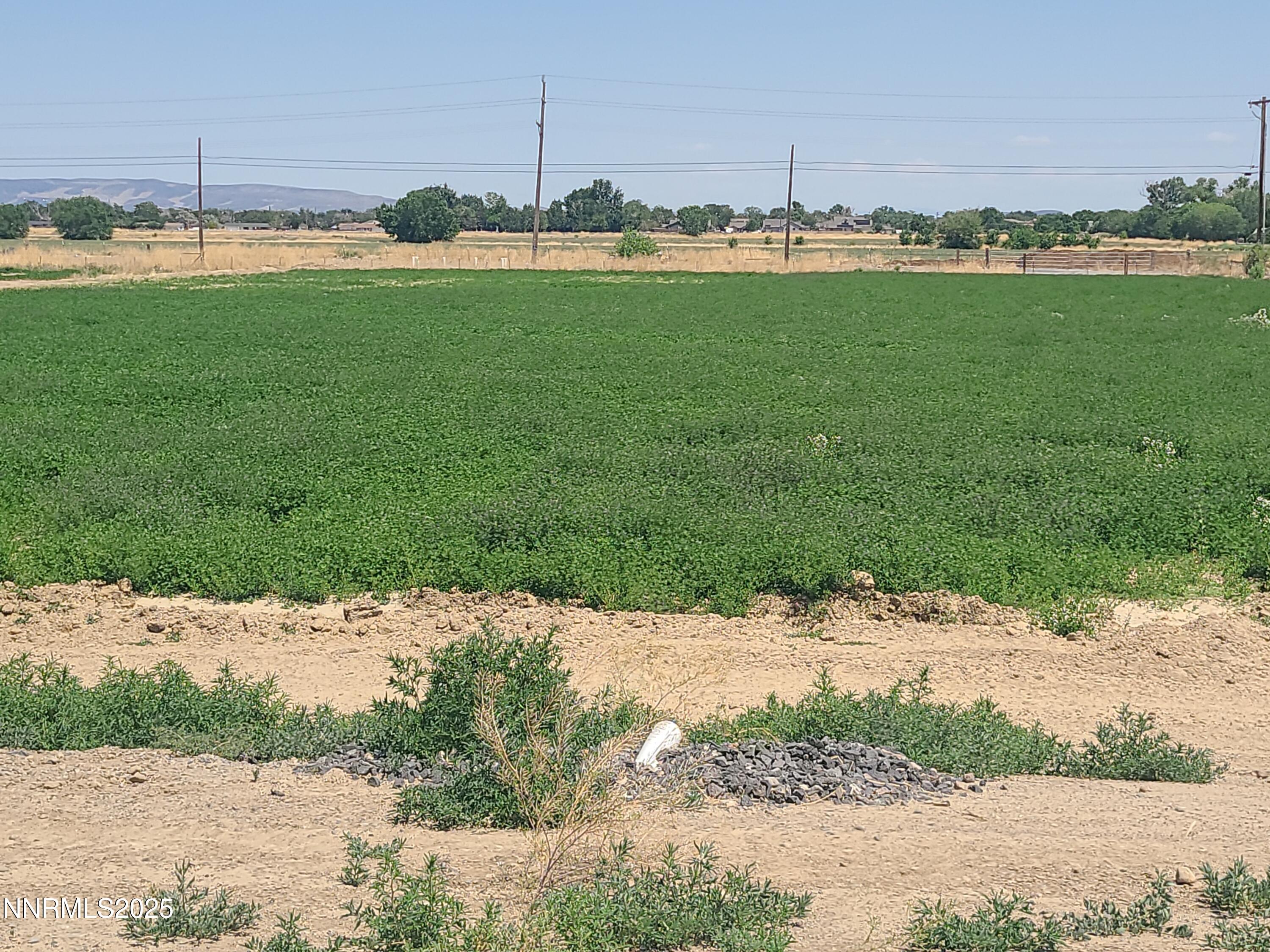 Fernley, Nevada, 89408, United States, 3 Bedrooms Bedrooms, ,2 BathroomsBathrooms,Residential,Active,1849569