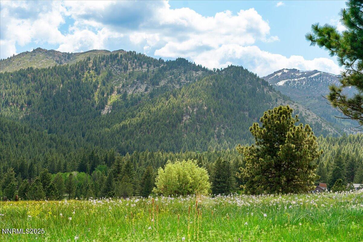 Reno, Nevada, 89511, United States, 3 Bedrooms Bedrooms, ,3 BathroomsBathrooms,Residential,Active,1919399