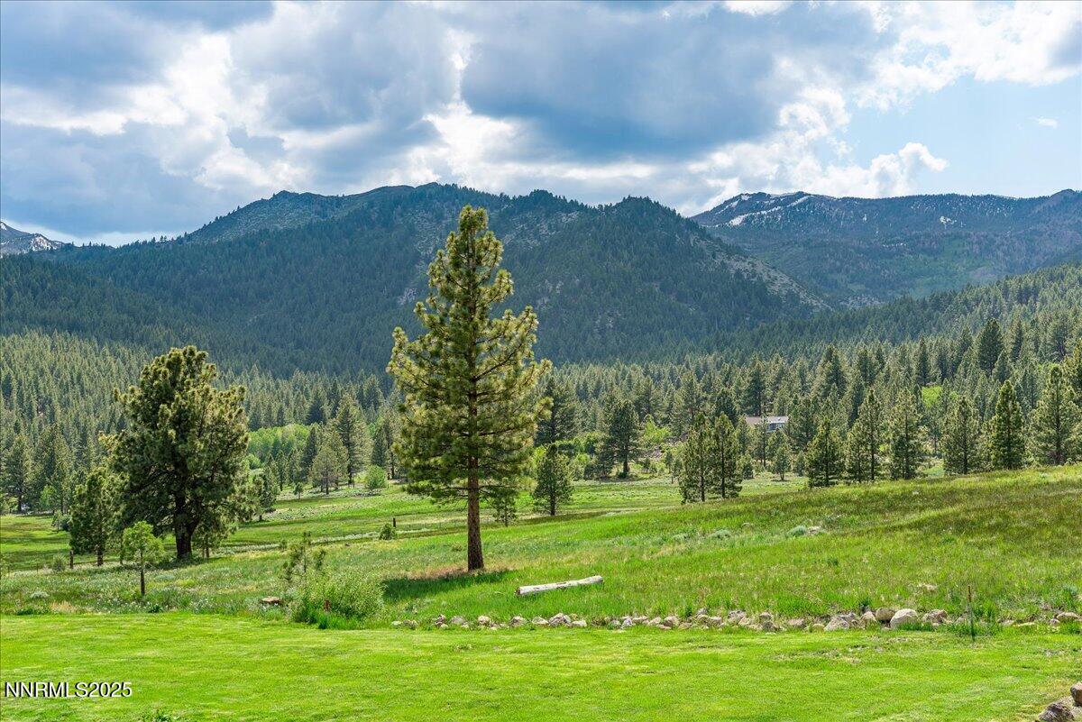 Reno, Nevada, 89511, United States, 3 Bedrooms Bedrooms, ,3 BathroomsBathrooms,Residential,Active,1919399