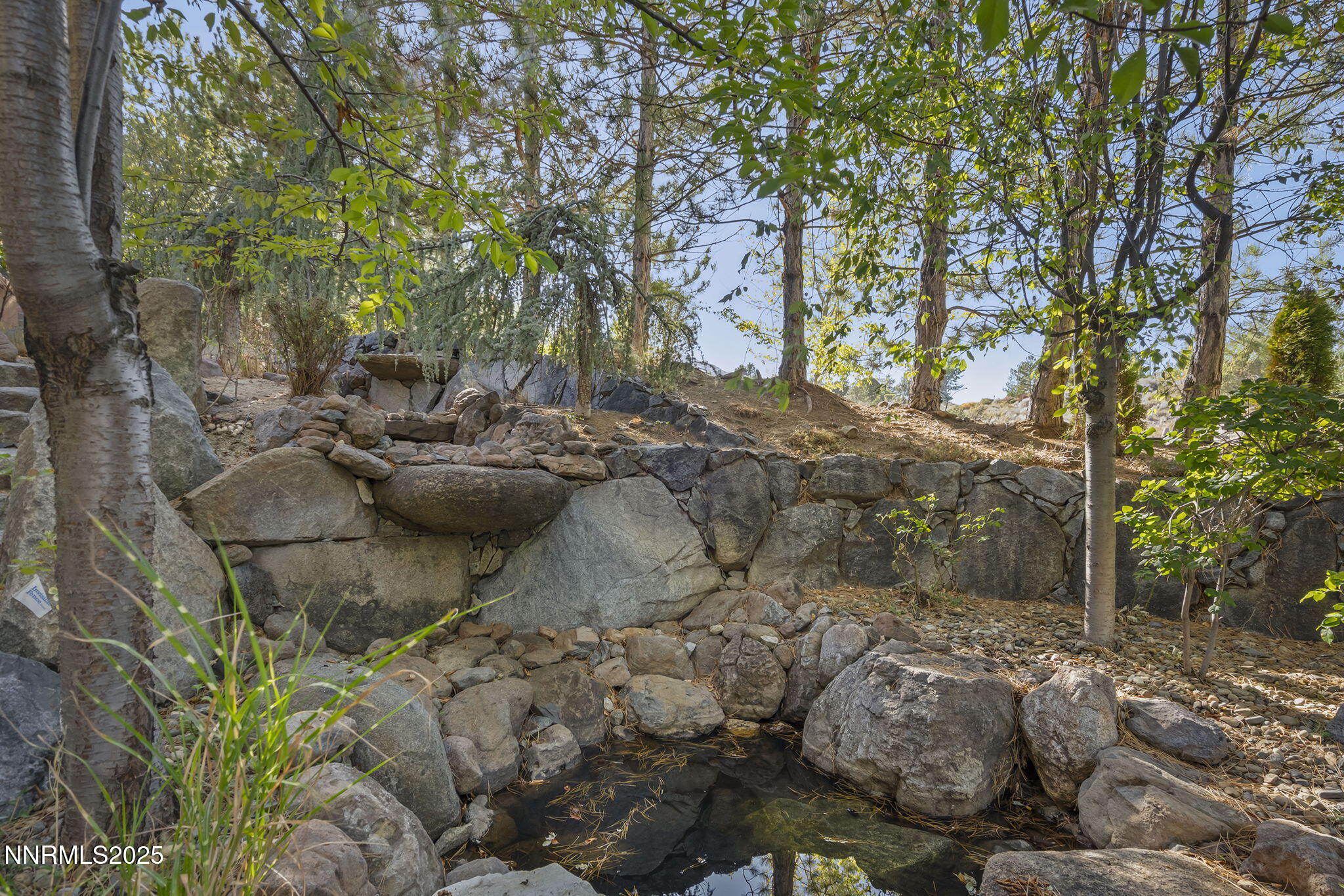 Reno, Nevada, 89519, United States, 5 Bedrooms Bedrooms, ,7 BathroomsBathrooms,Residential,Active,1963427