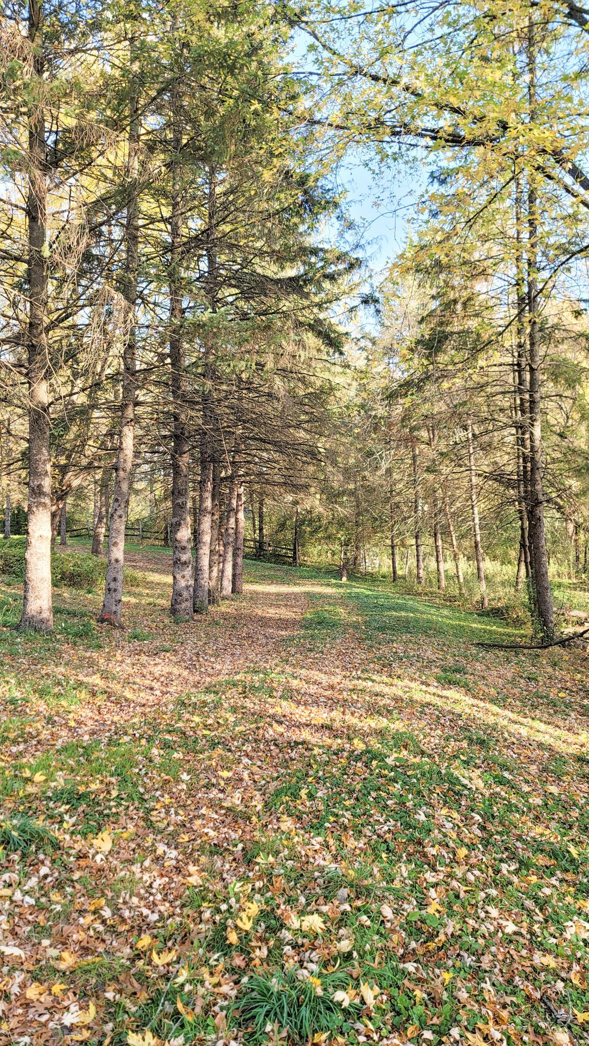 Eagan, Minnesota, 55123, United States, 5 Bedrooms Bedrooms, ,6 BathroomsBathrooms,Residential,Active,1944081