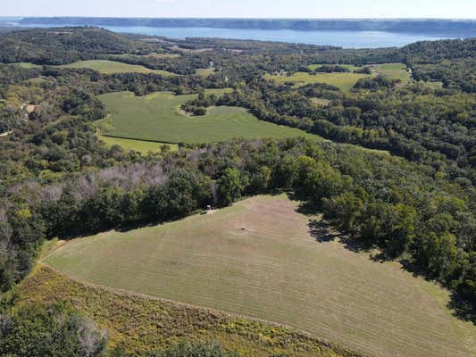 TBD BOGUS ROAD, PEPIN, WI 54759 - Image 1