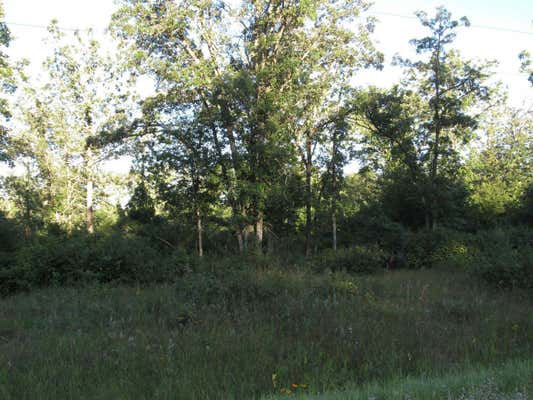 TBD 32ND AVENUE SW, BACKUS, MN 56435 - Image 1