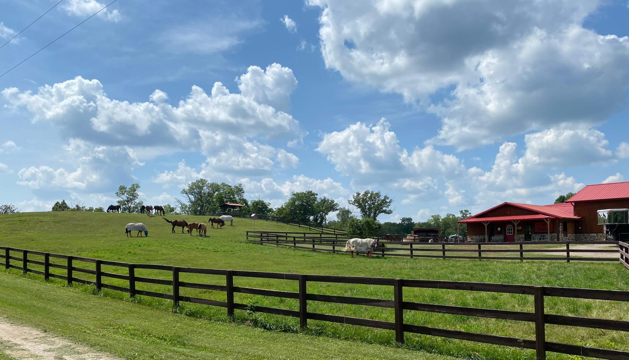 Detroit Lakes, Minnesota, 56501, United States, 3 Bedrooms Bedrooms, ,2 BathroomsBathrooms,Residential,Active,2017453