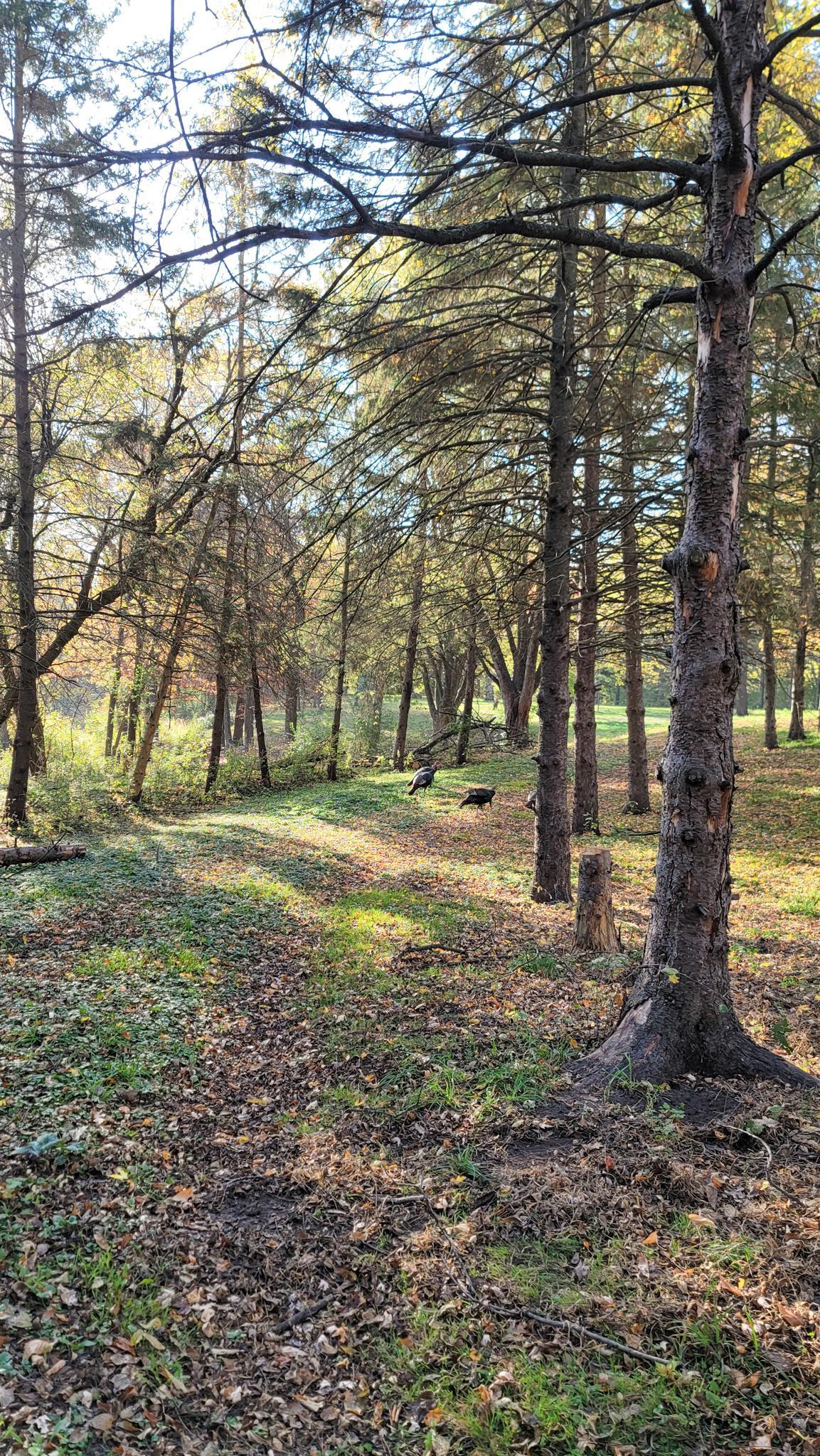 Eagan, Minnesota, 55123, United States, 5 Bedrooms Bedrooms, ,6 BathroomsBathrooms,Residential,Active,1944081