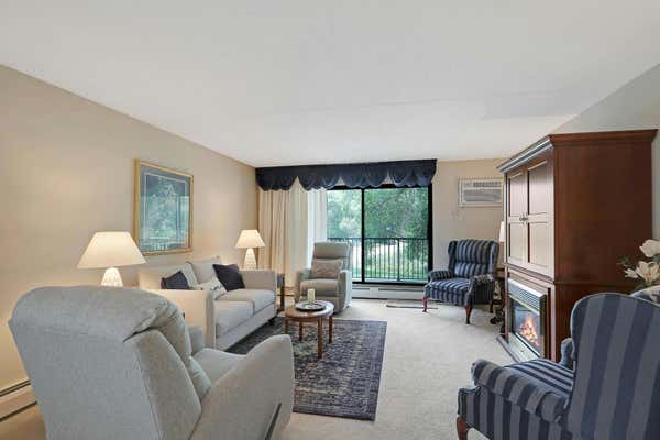 10511 CEDAR LAKE RD APT 301, HOPKINS, MN 55305 - Image 1