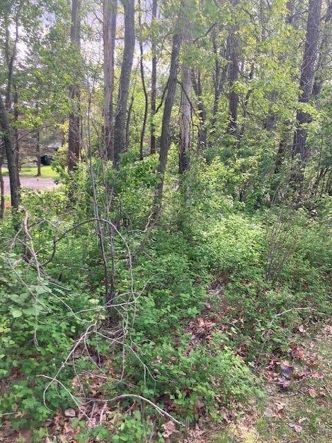 LOT 3 PINEWOOD DRIVE, BREEZY POINT, MN 56472, photo 1 of 2