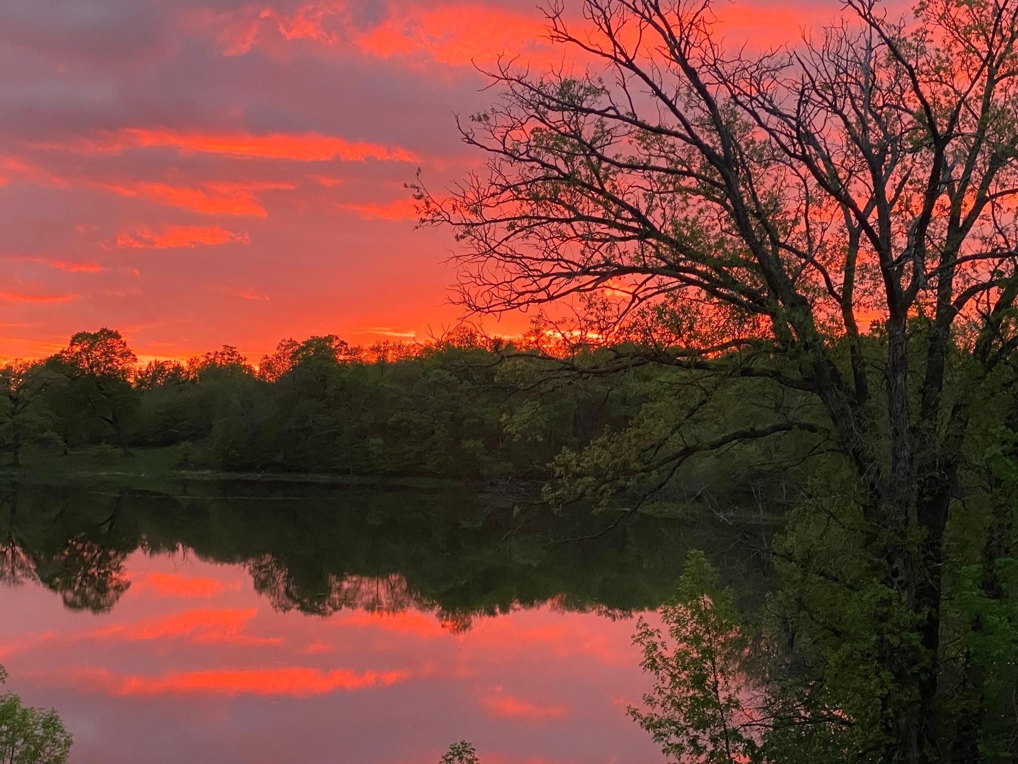 Detroit Lakes, Minnesota, 56501, United States, 3 Bedrooms Bedrooms, ,2 BathroomsBathrooms,Residential,Active,2017453