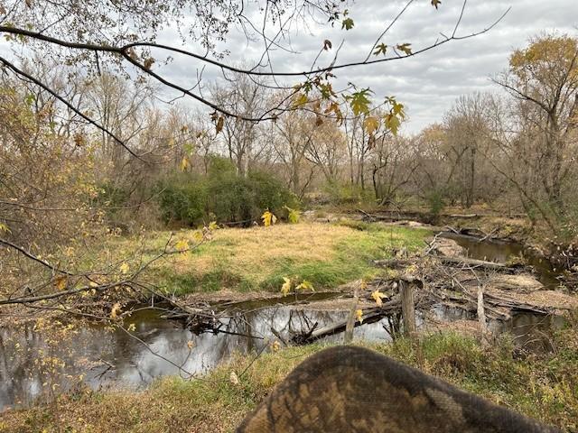 Rochester, Minnesota, 55902, United States, 5 Bedrooms Bedrooms, ,3 BathroomsBathrooms,Residential,Active,1899217