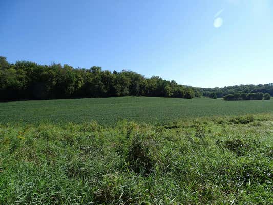 000 COUNTY ROAD N, PEPIN, WI 54759 - Image 1