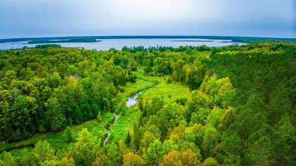 TBD BLACKDUCK LAKE ROAD NE, HINES, MN 56647 - Image 1