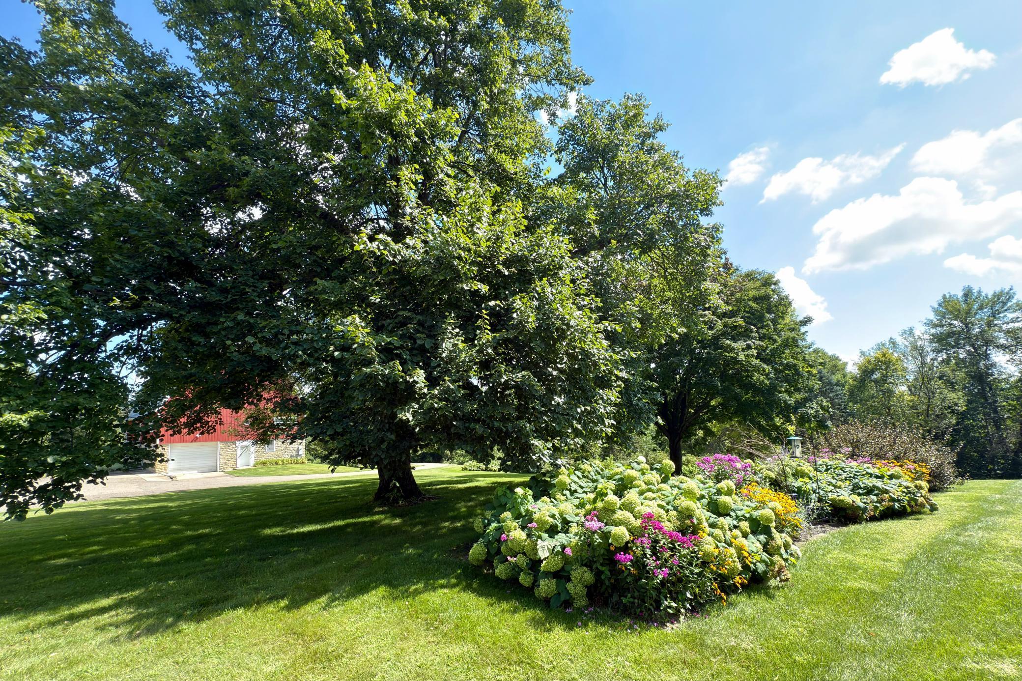 Northfield, Minnesota, 55057, United States, 3 Bedrooms Bedrooms, ,3 BathroomsBathrooms,Residential,Active,1920261