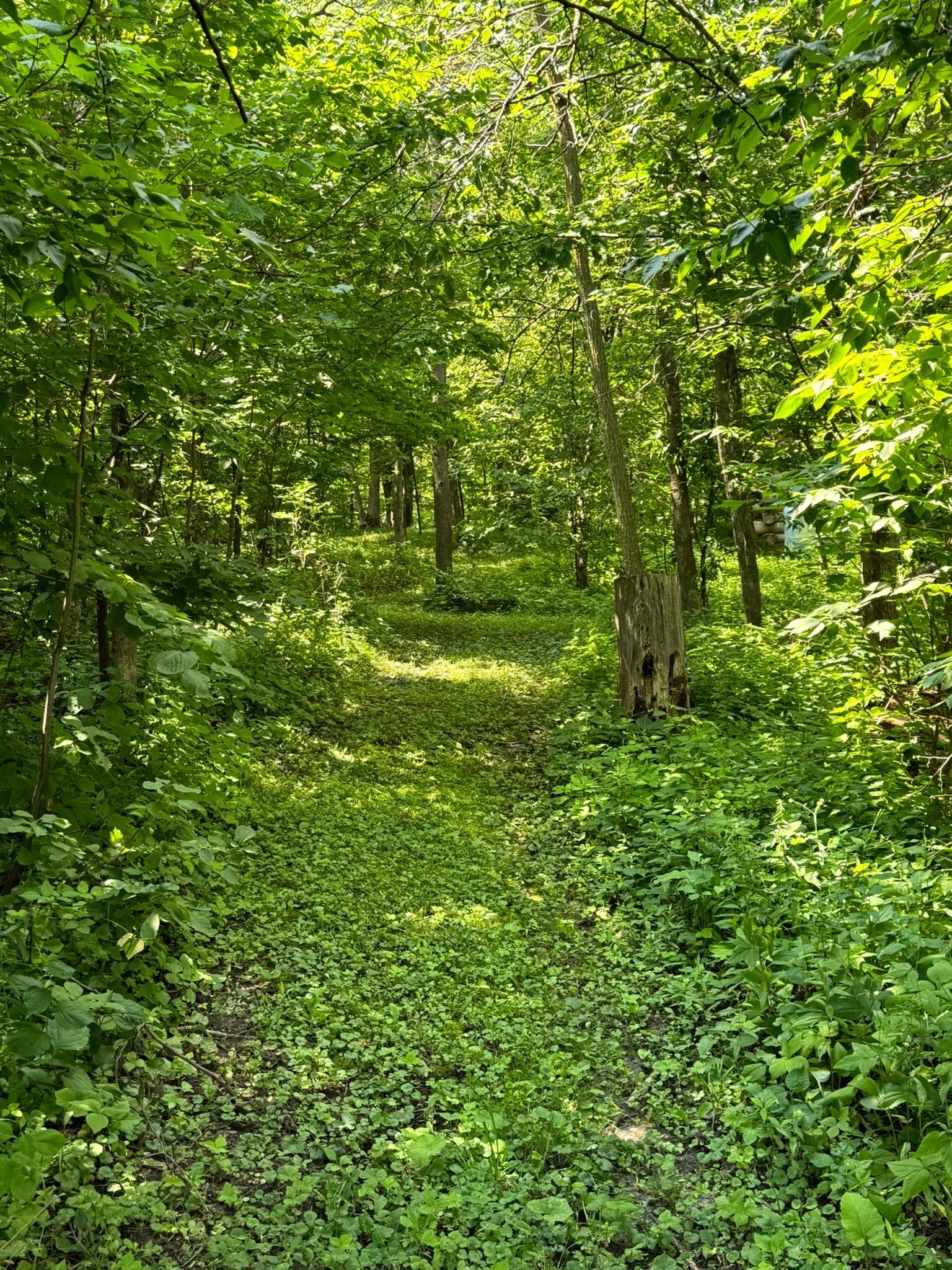 Detroit Lakes, Minnesota, 56501, United States, 3 Bedrooms Bedrooms, ,2 BathroomsBathrooms,Residential,Active,2017453