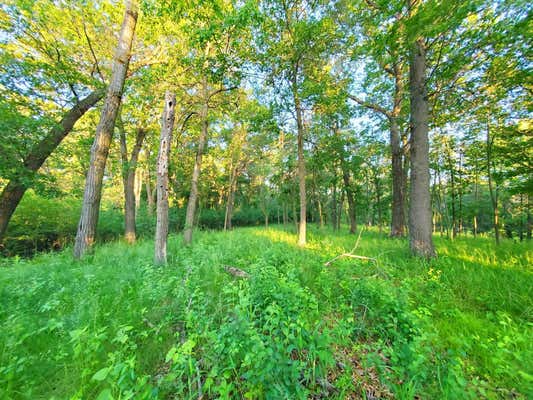 XXX LOT 3 CHESTNUT STREET, MARINE ON SAINT CROIX, MN 55047 - Image 1