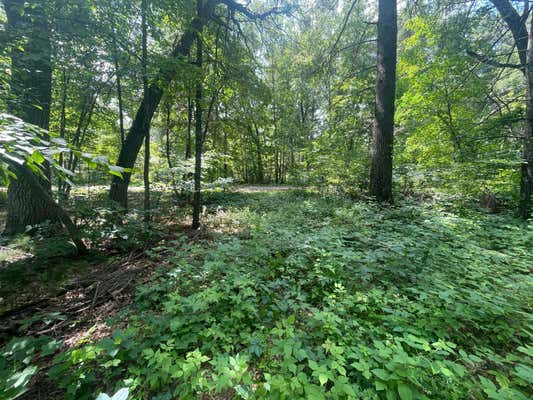 TBD GUMWOOD LN, MOTLEY, MN 56466 - Image 1