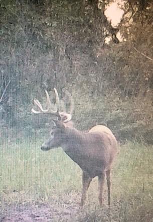 Rochester, Minnesota, 55902, United States, 5 Bedrooms Bedrooms, ,3 BathroomsBathrooms,Residential,Active,1899217