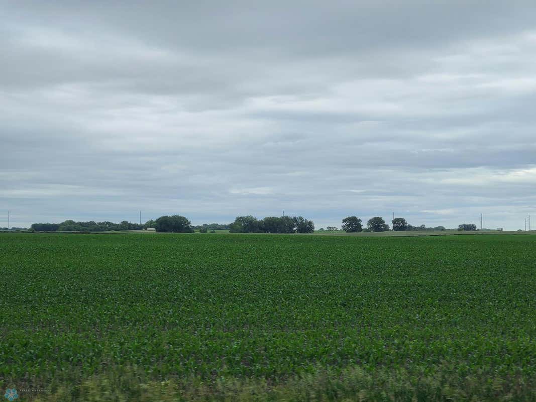 CO RD 19 CO RD 19, ROTHSAY, MN 56579, photo 1 of 6