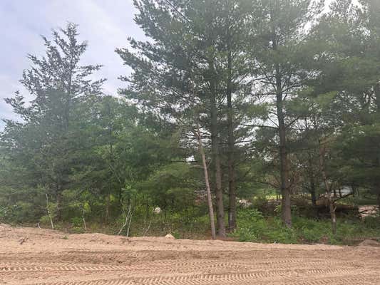 LOT 4 BLK 1 BRUMMER DRIVE, RANDALL, MN 56475 - Image 1