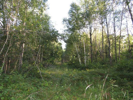 TBD 12TH STREET SW, BACKUS, MN 56435 - Image 1