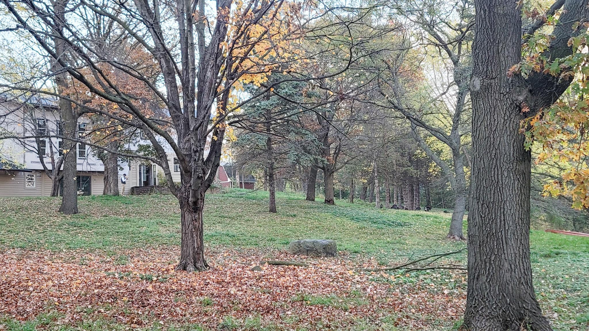 Eagan, Minnesota, 55123, United States, 5 Bedrooms Bedrooms, ,6 BathroomsBathrooms,Residential,Active,1944081