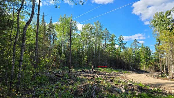 XX13.7 CRANE LAKE ROAD, CRANE LAKE, MN 55725 - Image 1