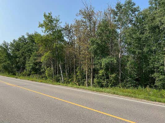 TBD COUNTY 36 ROAD, BEMIDJI, MN 56601 - Image 1