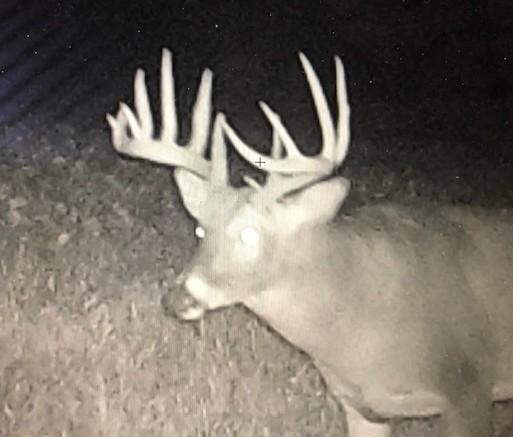 Rochester, Minnesota, 55902, United States, 5 Bedrooms Bedrooms, ,3 BathroomsBathrooms,Residential,Active,1899217