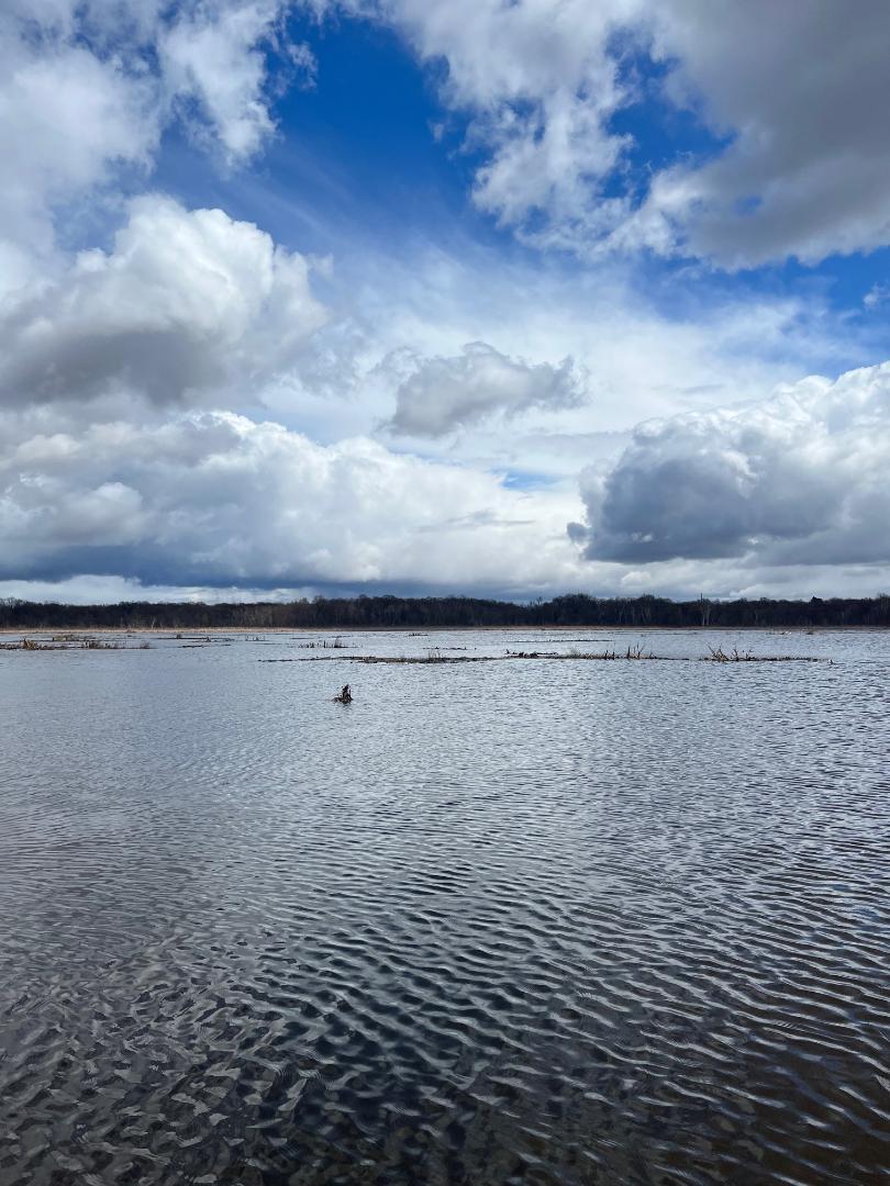 Andover, Minnesota, 55304, United States, 5 Bedrooms Bedrooms, ,5 BathroomsBathrooms,Residential,Active,1943833