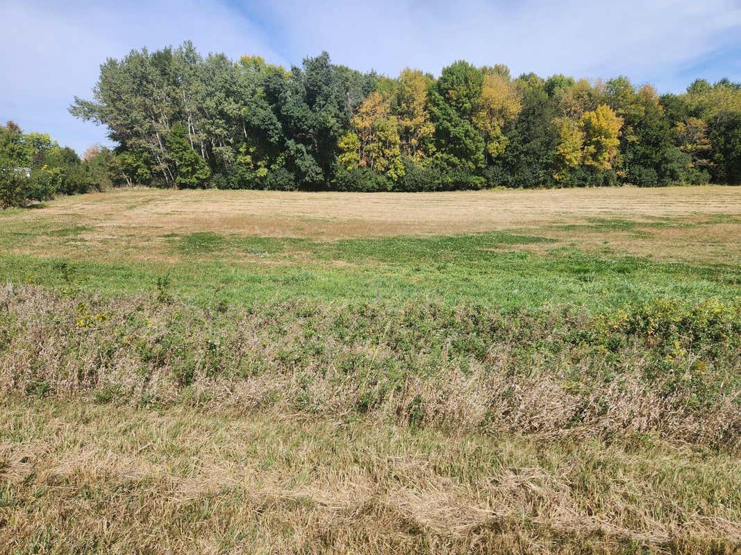 LOT 3 EDGEWATER ROAD, LAKE CRYSTAL, MN 56055, photo 1 of 9