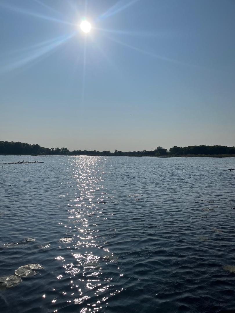 Andover, Minnesota, 55304, United States, 5 Bedrooms Bedrooms, ,5 BathroomsBathrooms,Residential,Active,1943833