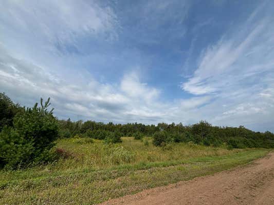 XXX GROUSE STREET, SANDSTONE, MN 55072 - Image 1