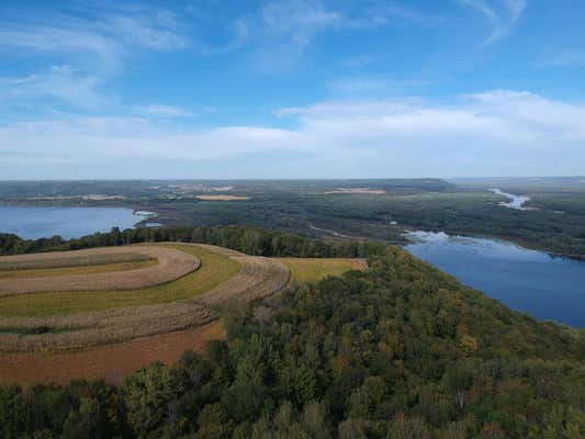 LOT 17 215TH AVENUE, WABASHA, MN 55981, photo 2 of 15