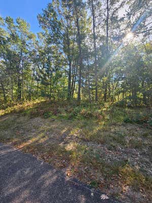 XXX LOTS 76 & 77 DEERPATH ROAD, DANBURY, WI 54830 - Image 1