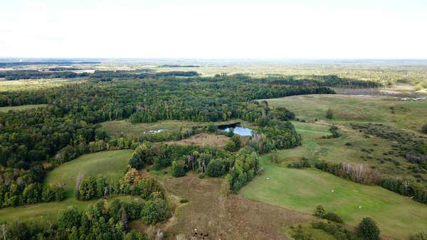 TBD 450TH STREET, LEONARD, MN 56652 - Image 1