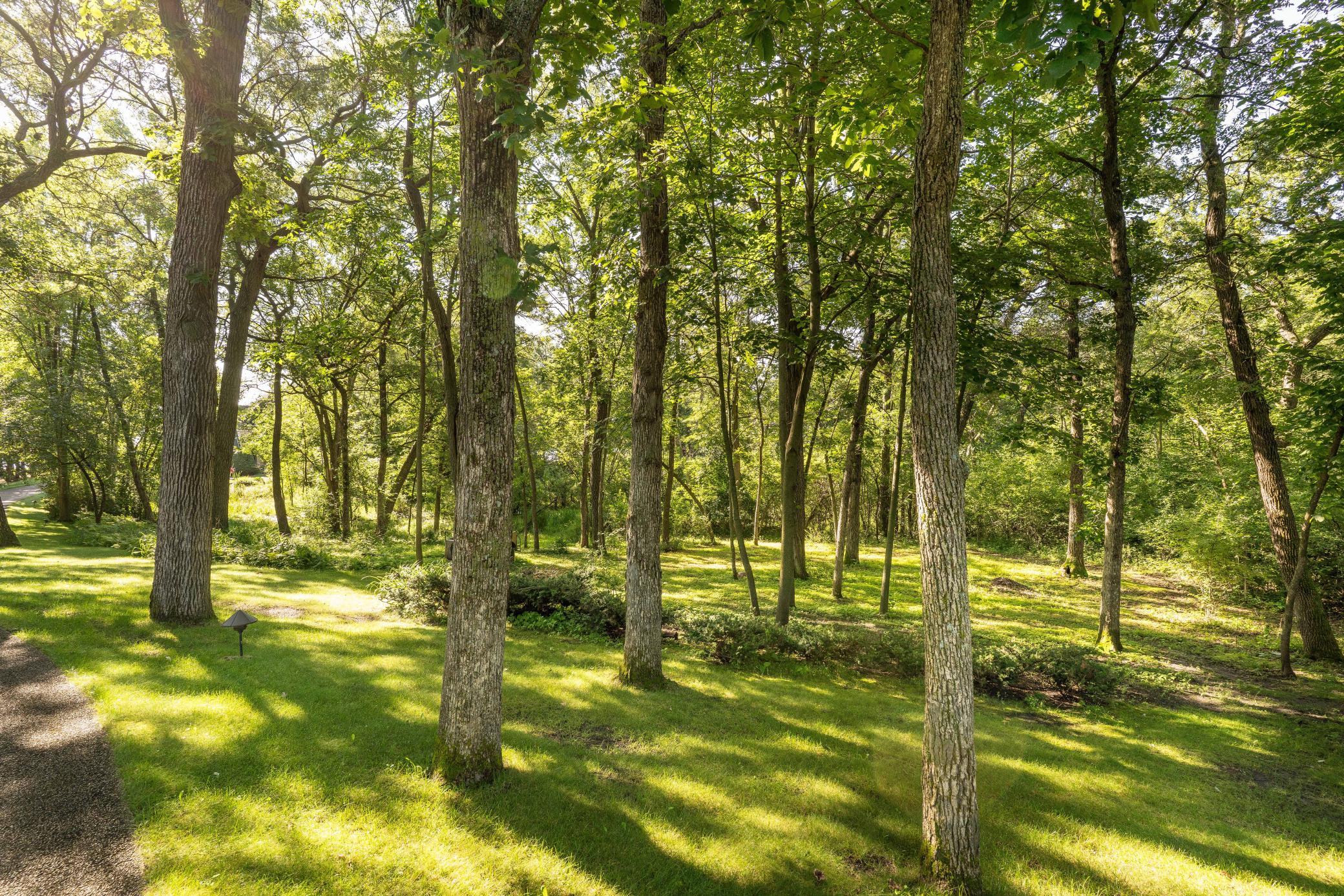 Alexandria, Minnesota, 56308, United States, 4 Bedrooms Bedrooms, ,6 BathroomsBathrooms,Residential,Active,1964256