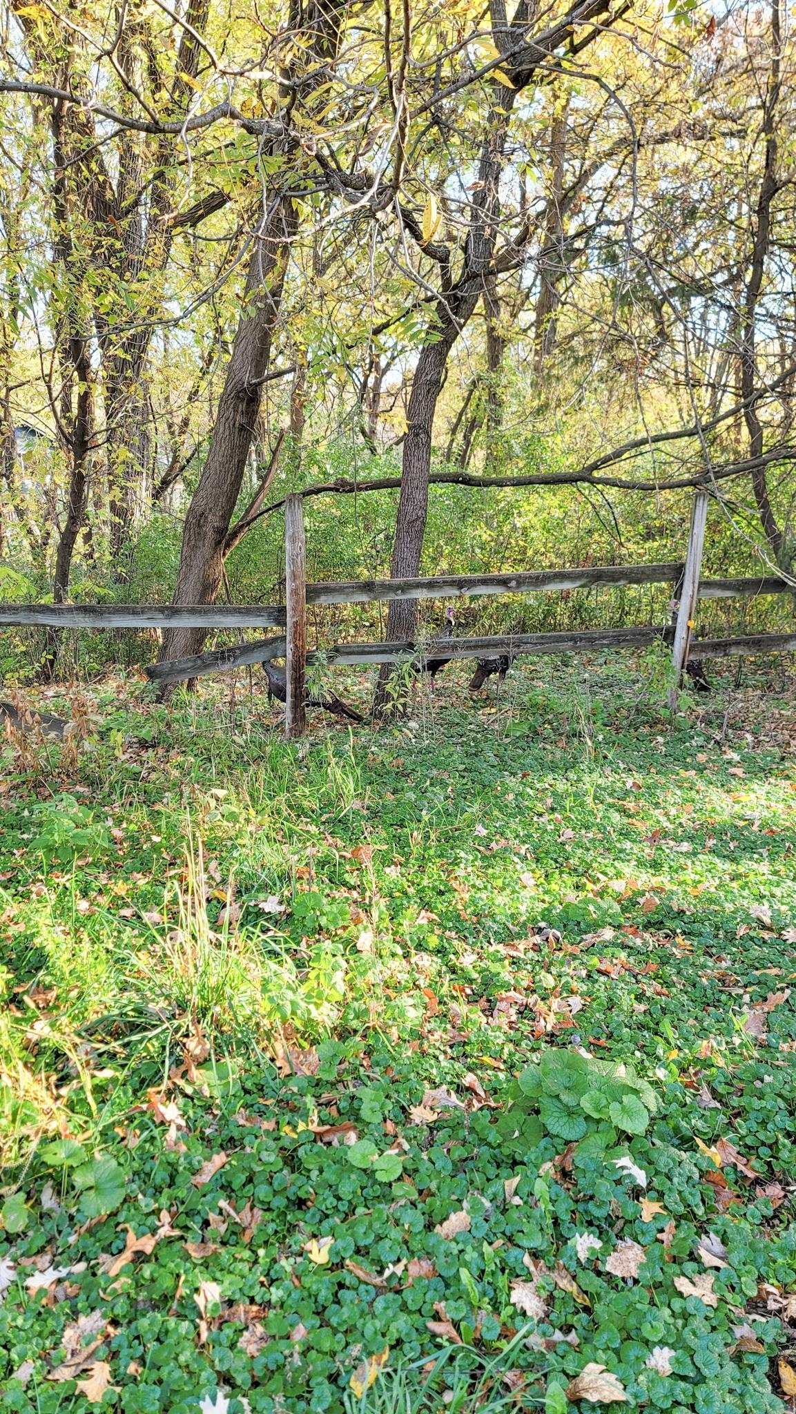Eagan, Minnesota, 55123, United States, 5 Bedrooms Bedrooms, ,6 BathroomsBathrooms,Residential,Active,1944081