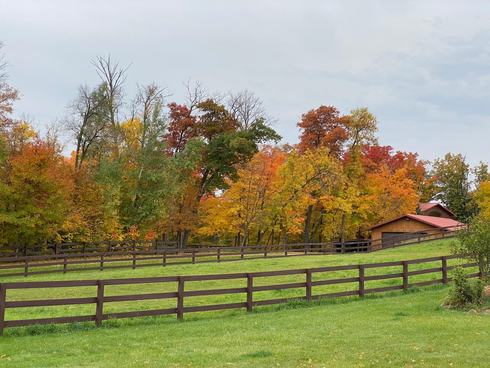 Detroit Lakes, Minnesota, 56501, United States, 3 Bedrooms Bedrooms, ,2 BathroomsBathrooms,Residential,Active,2017453