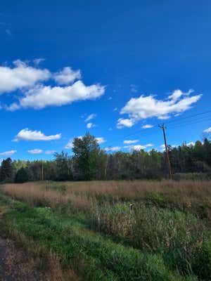 XXX STATE HWY 35, DAIRYLAND, WI 54830 - Image 1