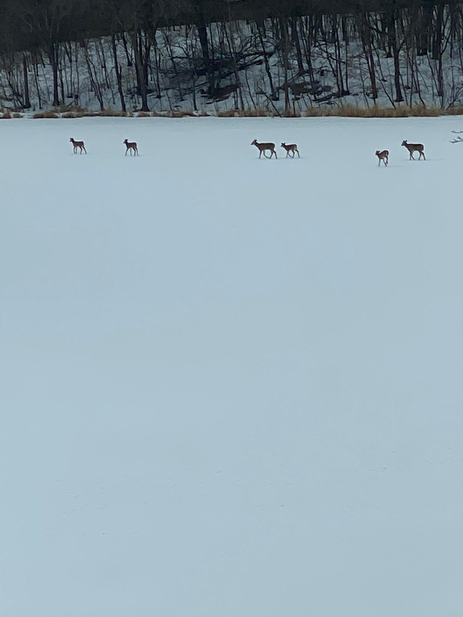 Detroit Lakes, Minnesota, 56501, United States, 3 Bedrooms Bedrooms, ,2 BathroomsBathrooms,Residential,Active,2017453