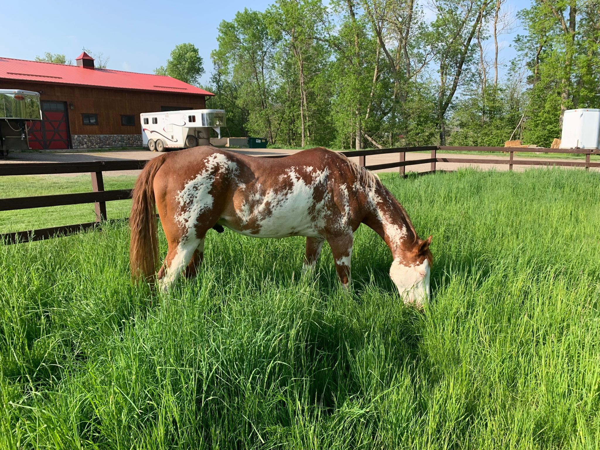 Detroit Lakes, Minnesota, 56501, United States, 3 Bedrooms Bedrooms, ,2 BathroomsBathrooms,Residential,Active,2017453