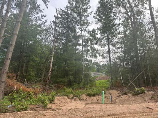 LOT 3 BLK 1 BRUMMER DRIVE, RANDALL, MN 56475 - Image 1