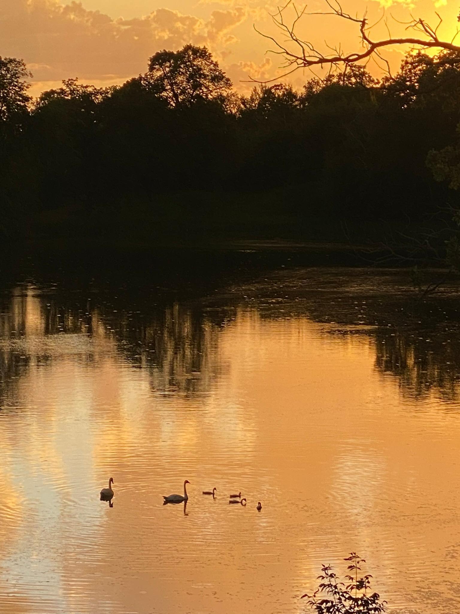 Detroit Lakes, Minnesota, 56501, United States, 3 Bedrooms Bedrooms, ,2 BathroomsBathrooms,Residential,Active,2017453