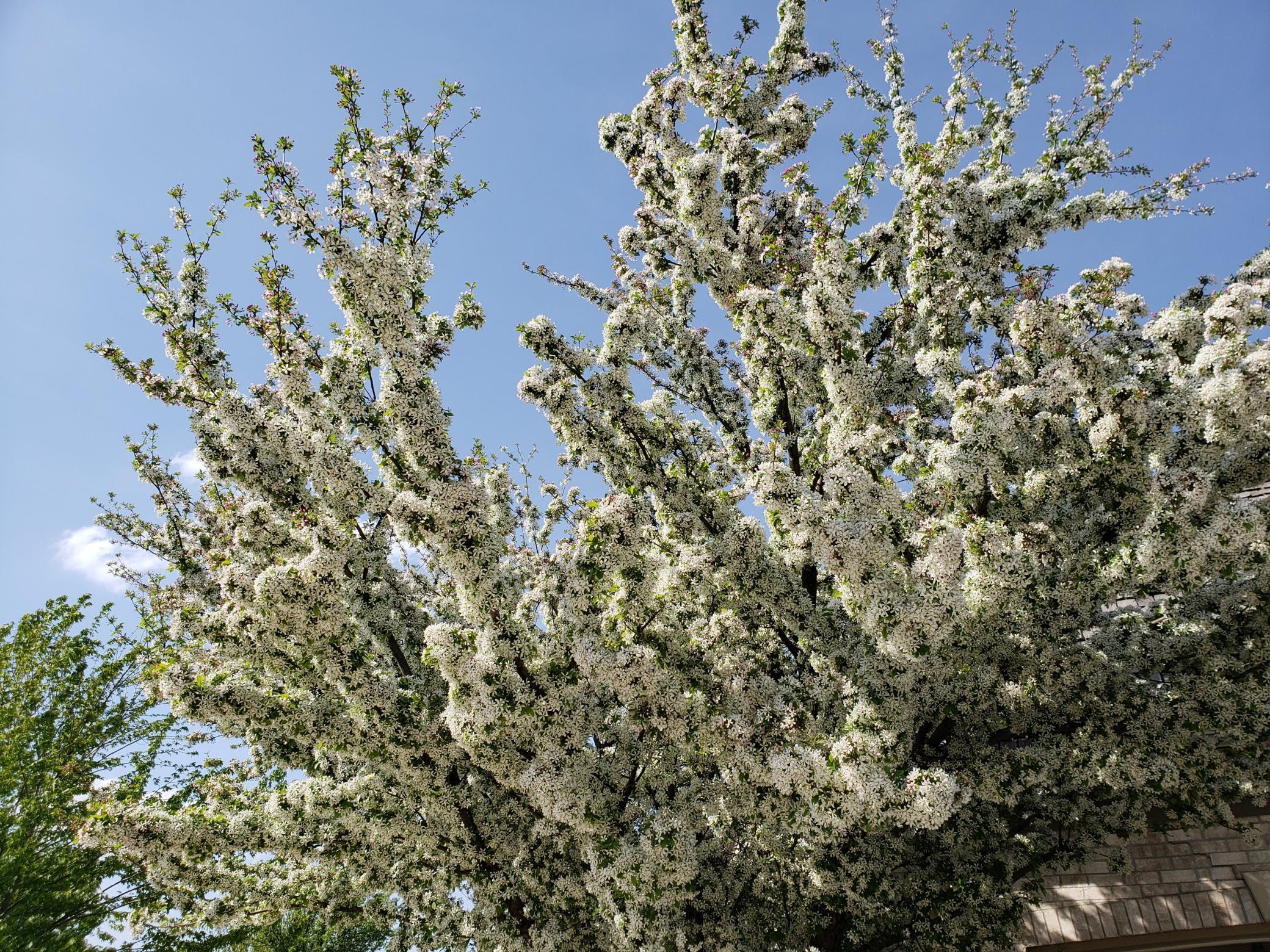 Eden Prairie, Minnesota, 55347, United States, 5 Bedrooms Bedrooms, ,6 BathroomsBathrooms,Residential,Active,1997621