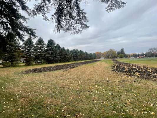 320 ELM ST, TRACY, MN 56175, photo 1 of 3