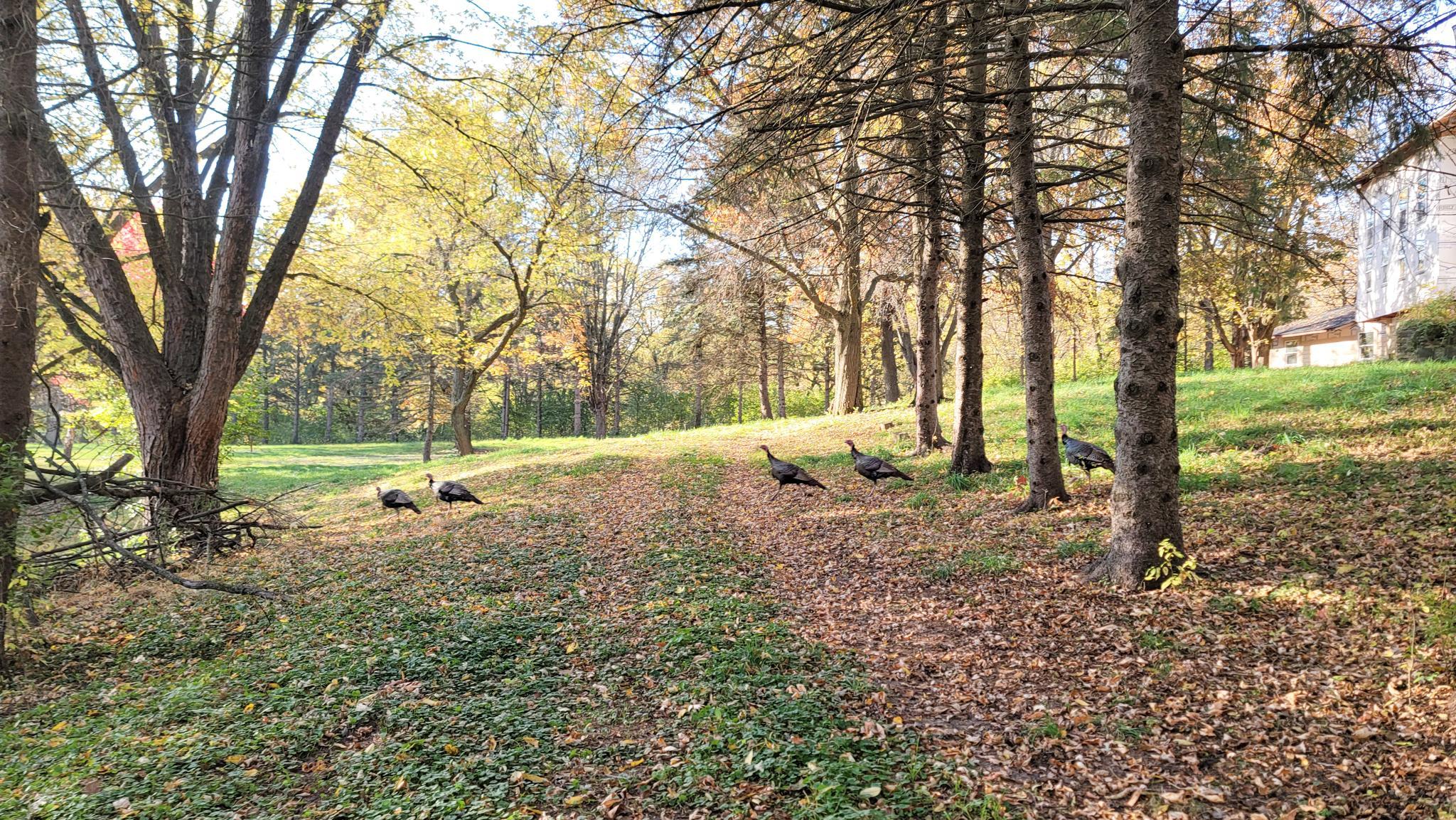 Eagan, Minnesota, 55123, United States, 5 Bedrooms Bedrooms, ,6 BathroomsBathrooms,Residential,Active,1944081