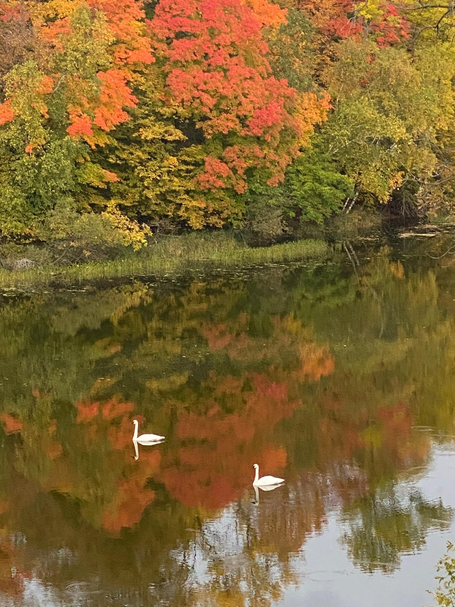 Detroit Lakes, Minnesota, 56501, United States, 3 Bedrooms Bedrooms, ,2 BathroomsBathrooms,Residential,Active,2017453